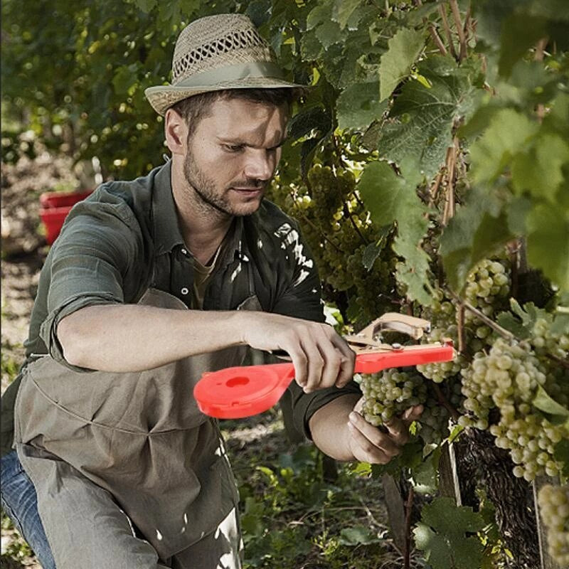 TAPETOOL – Makaze za vezivanje grana + 3 TRAKE GRATIS